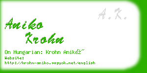 aniko krohn business card